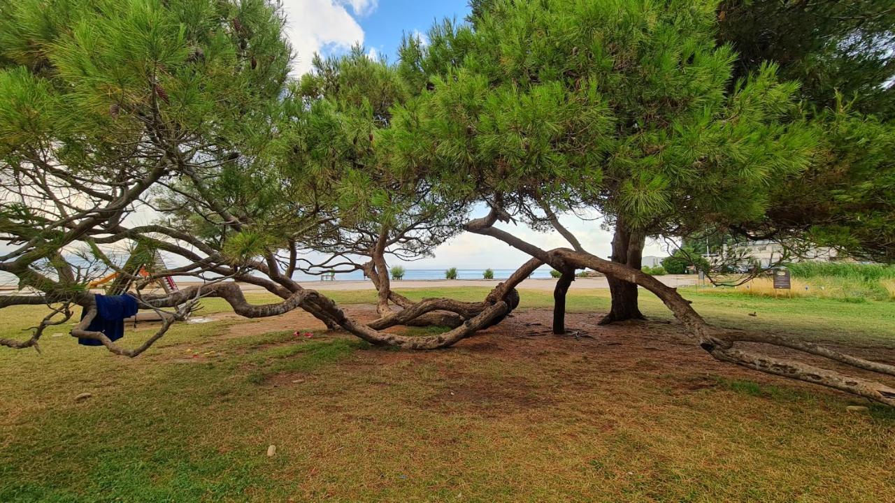 Fiesa Residence Πορτορόζ Εξωτερικό φωτογραφία