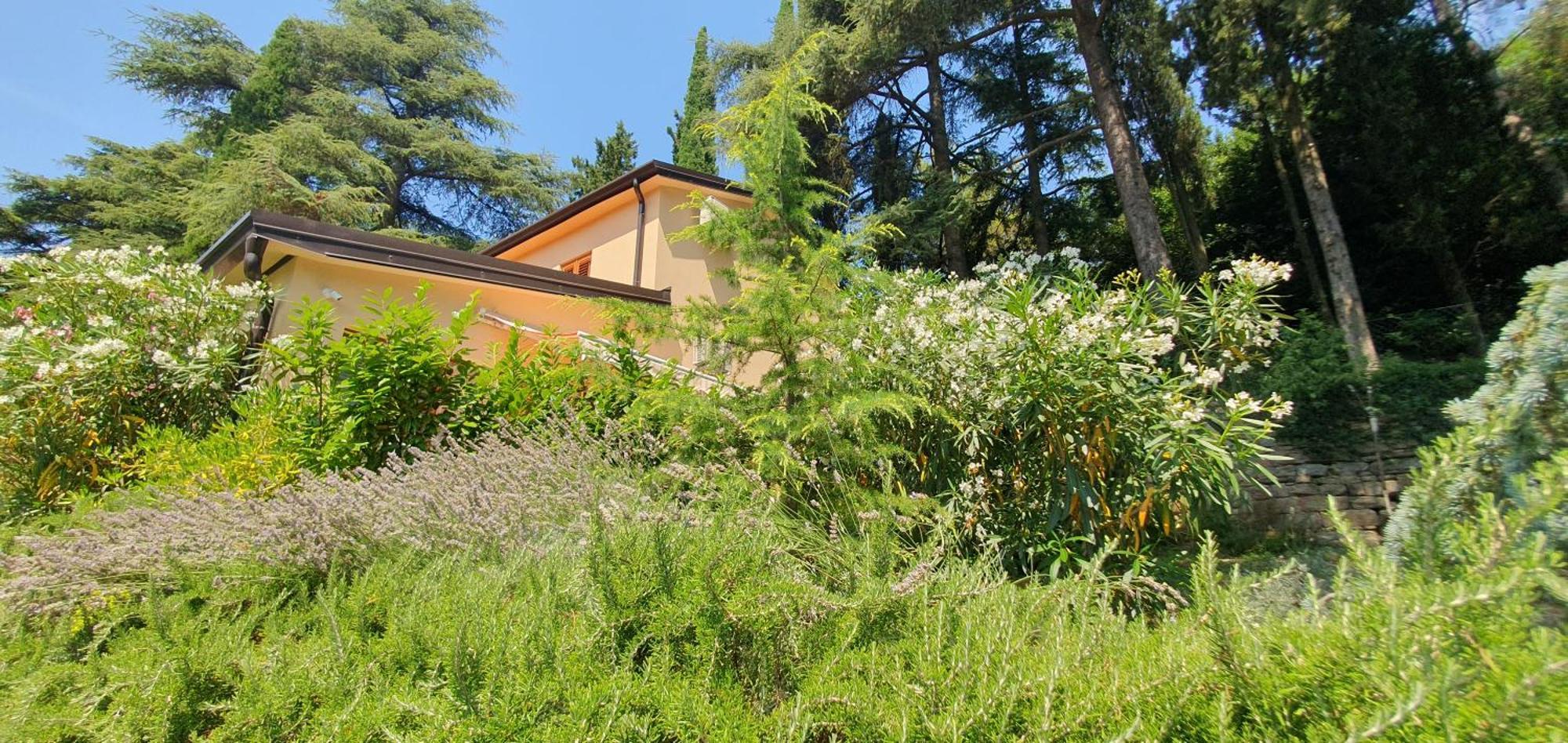 Fiesa Residence Πορτορόζ Εξωτερικό φωτογραφία
