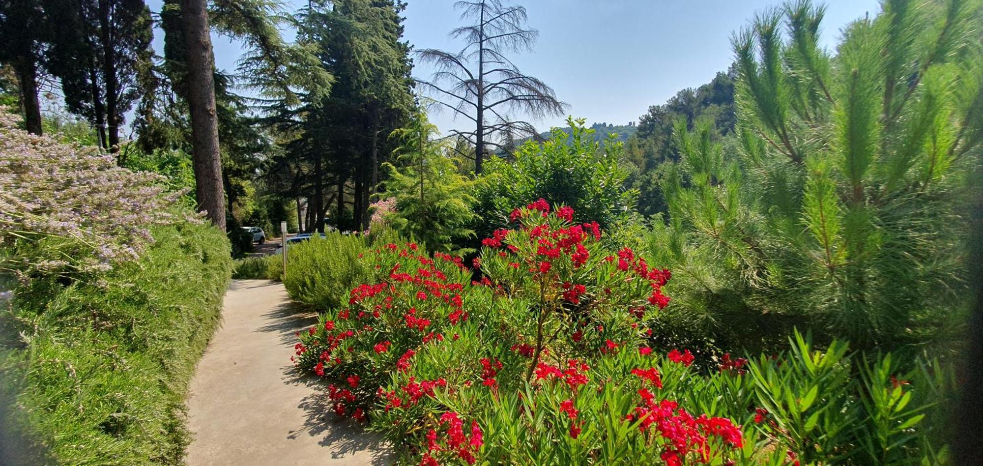 Fiesa Residence Πορτορόζ Εξωτερικό φωτογραφία