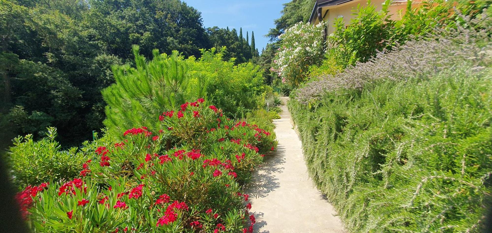 Fiesa Residence Πορτορόζ Εξωτερικό φωτογραφία